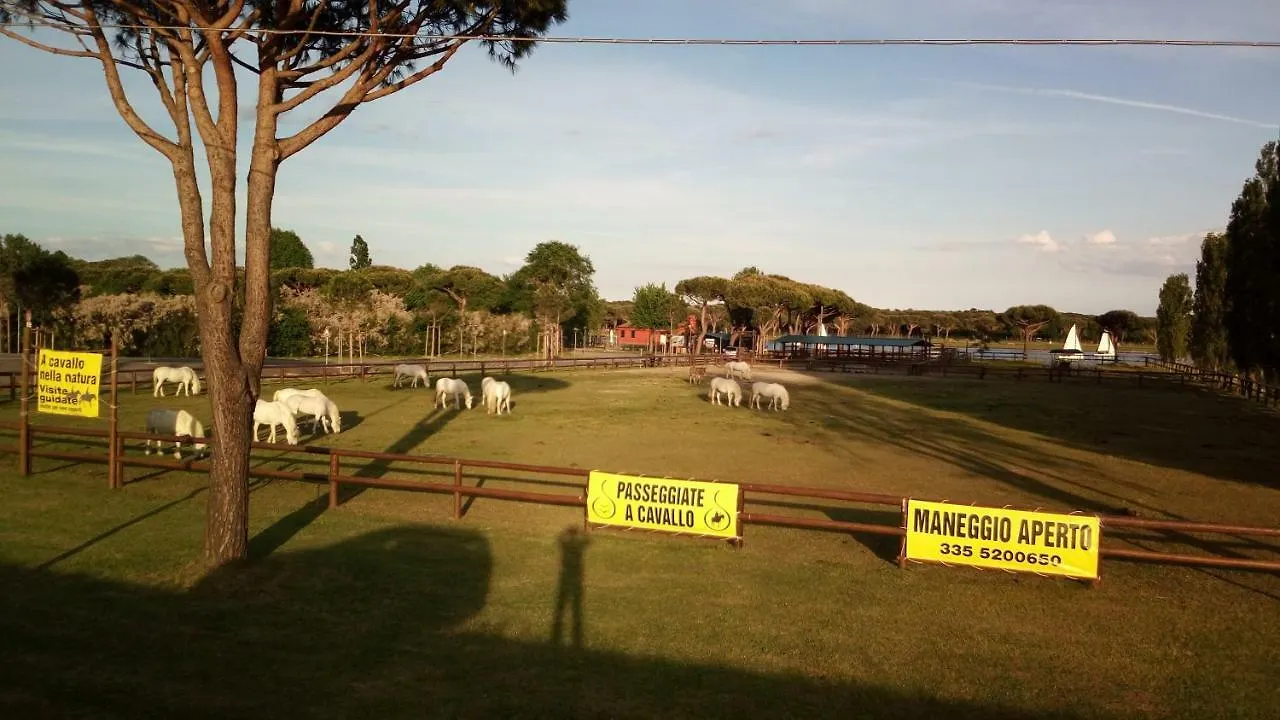Appartamento Mare Pineta Lido di Volano Italia